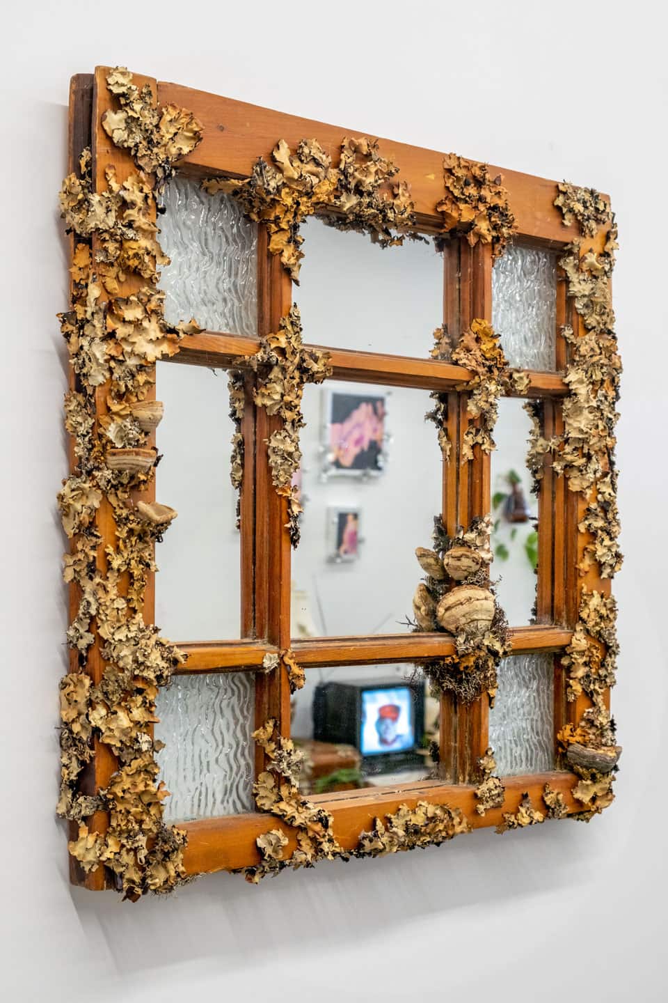 Peculiar Movements/Green Junctions at NAMARA projects